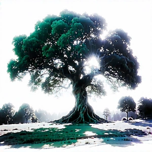 Nature Pencil Sketch: Ancient Tree In Sunlit Clearing With Painting Large