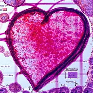 A Heart-shaped Object, Possibly A Piece Of Art Or A Decoration, With A Pink Background