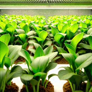 Agricultural technology in (modern:1.37) laboratory