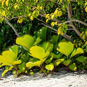 Nature Macro Photography: Tropical Plants In Coastal Environment With Lush Green