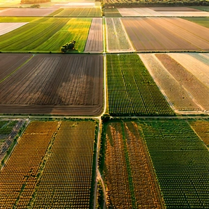 Nature Tilt-Shift Photography: Aerial view of agricultural fields