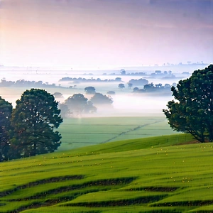 Nature Isometric Design: Meadow During Foggy Morning With Beautiful Landscape