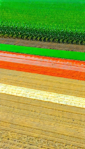 Agricultural Technology In (design:1.25) Studio With Large Field