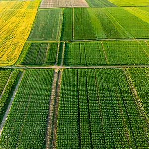 Nature Editorial Photography: Aerial View Of Agricultural Fields With Large, Lush
