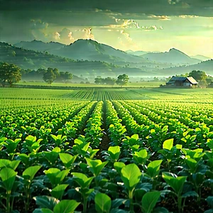 Agricultural Technology In Design Studio With Large, Lush