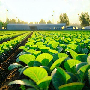 Agricultural Technology In Research Center With Large Field