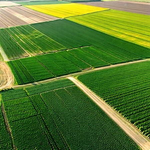 Nature Digital Illustration: Aerial View Of Agricultural Fields With Large, Lush