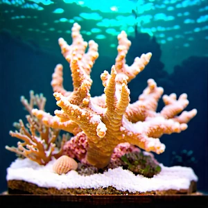 Nature Professional Photography: Coral reef in winter snow