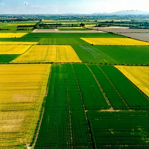 Nature Pastel Drawing: Aerial view of agricultural fields