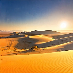 Nature Commercial Photography: Desert Landscape During Sunrise With Beautiful Desert