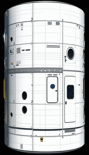 A Large White Spacecraft Is Shown In A Black And White Photo