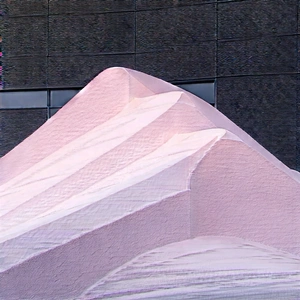 Abstract Infrared Photography: (minimalist:1.41) Collection With Subtle Texture With Large Pink