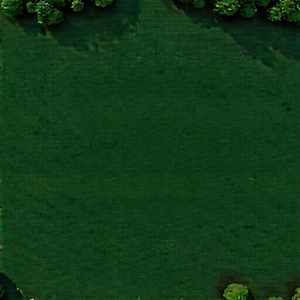 Nature Diagram Style: Aerial view of forest canopy