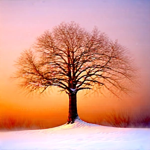 Nature Aerial Photography: (ancient:1.49) (tree:1.39) In Winter (snow:1.23) With Snow-covered Field