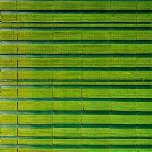Urban Drone Photography: Urban farmers market scene