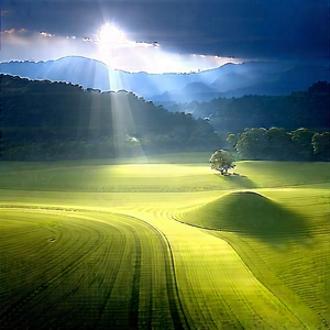 Digital Transformation Visualization With Beautiful Landscape