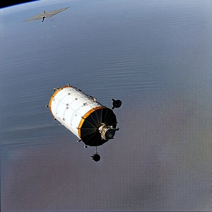 A Space Shuttle Is Flying Through The Sky, With A Bird Flying Nearby