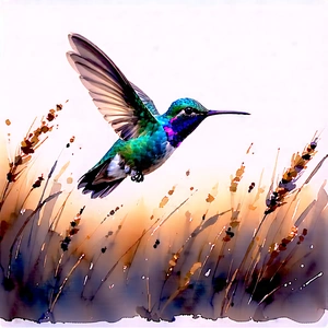 Nature Watercolor Painting: Hummingbird In Prairie Grassland With Colorful Hummingbird