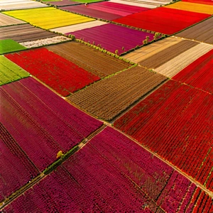 Nature Tilt-shift Photography: Aerial View Of Agricultural Fields With Large, Colorful