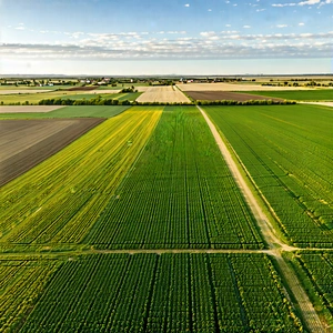 Nature 3d Render: Aerial View Of Agricultural Fields With Large, Lush