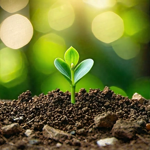 Lifestyle Macro Photography: Spring Gardening During Autumn With Small Green
