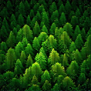Nature Stock Photography: Aerial view of forest canopy