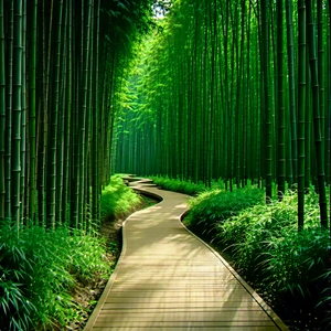 Nature Advertising Photography: Path through bamboo grove