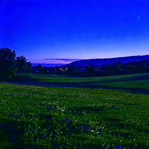 Nature Advertising Photography: Meadow During Blue Hour With Black White