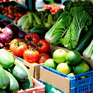 Urban Editorial Photography: Urban farmers market scene