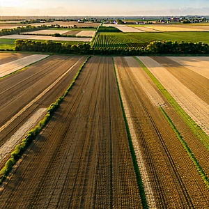 Nature Flat Design: Aerial View Of Agricultural Fields With Large, Open