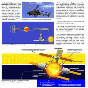 colorful informative poster that showcases