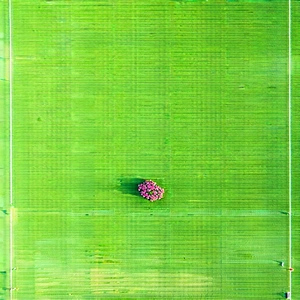 Urban Aerial Photography: Urban farmers market scene