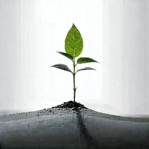 Abstract Advertising Photography: Growth Represented Through Negative Space With Small Green