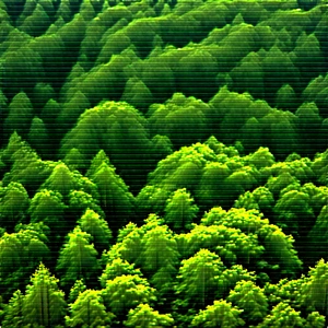 Nature Product Photography: Aerial view of (forest:1.4) canopy