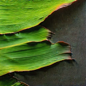 Abstract Landscape Photography: Macro view of material interaction
