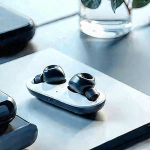 Wireless earbuds with user interface