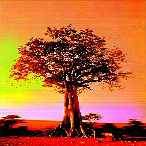 Nature Tilt-shift Photography: Ancient Tree In Dry Season With Large Tree