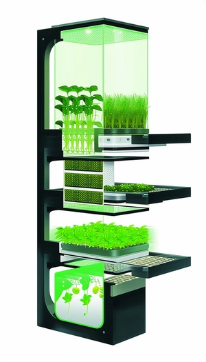 A Large, Multi-tiered Plant Shelf Filled With Various Plants