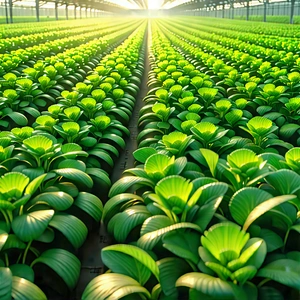 Agricultural Technology In Manufacturing Facility With Large Green