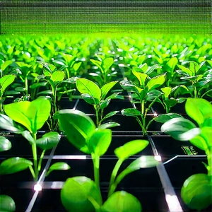Agricultural Technology In Manufacturing Facility With Large Field