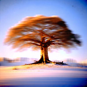 Nature Long Exposure Photography: Ancient Tree In Winter (snow:1.39) With Large Tree