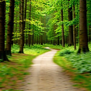 Nature Landscape Photography: Path through dense forest