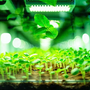 Tech Editorial Photography: Agricultural Technology In Manufacturing Facility With Greenhouse Filled