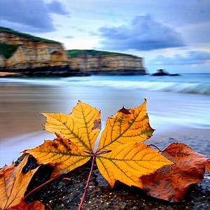 Nature Long Exposure Photography: Autumn Leaves In Coastal Environment With Beautiful Beach