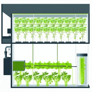 A Large Greenhouse Filled With Various Plants