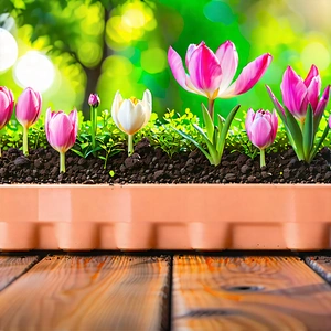 Lifestyle Stock Photography: Spring Gardening During Summer With Wooden Table