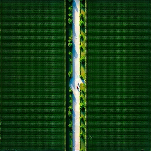 Urban Voxel Art: Aerial view of central park
