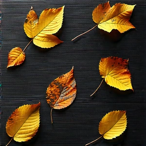 Nature Octane Render: Autumn leaves in rocky terrain