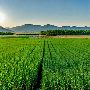 Tech Concept Art: Agricultural Technology In Field Deployment With Large, Lush