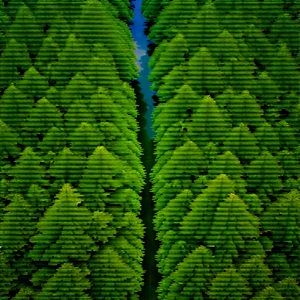 Nature Stock Photography: Aerial view of forest canopy